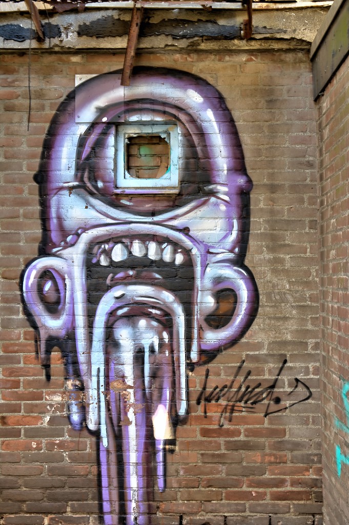 den bosch graffiti hdr art kunst kunstwerk mural murals straatkunst urbex